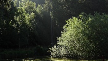 <H2>Bogenschießen und Waldführungen in der Eifel</H2>