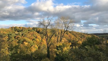 <H2>Bogenschießen und Waldführungen in der Eifel</H2>